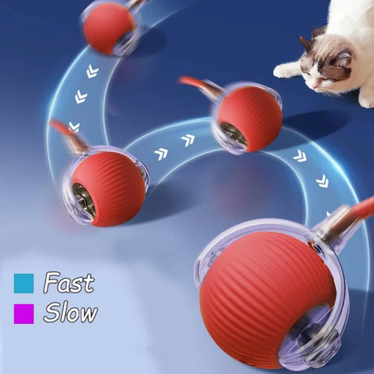 Minge Interactivă Automată pentru Pisici